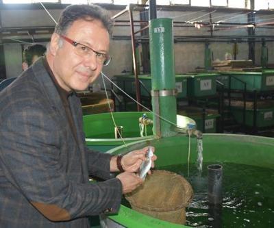Prof. Dr. Tanrıkul: Levreklerde ölümcül hastalık türü saptandı