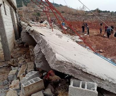 Yağış sonrası ahır çöktü: 5 inek öldü