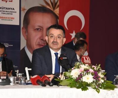 Seralarda üretim arttığında fiyatlardaki dalgalanma azalacak