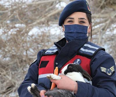 Jandarma tavşanları eliyle besledi
