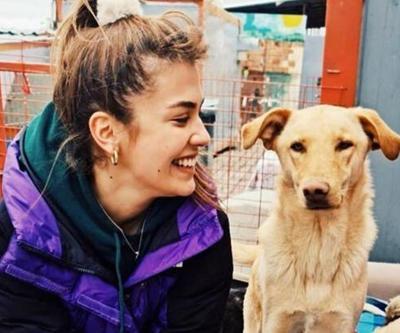 Biran Damla Yılmaz bir barınağa giderek saatlerce köpekleri besledi