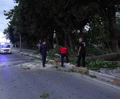 Fırtınada devrilen ağaç seyir halindeki otomobilin üzerine düştü