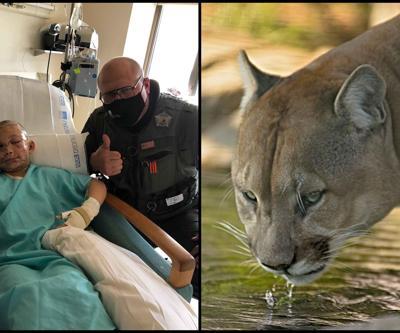 ABDde 9 yaşındaki çocuk, puma saldırısına uğradı Yetkililer uyardı: Ölü numarası yapmayın