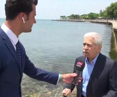 Deniz salyası kabusu geri mi dönüyor