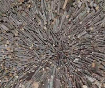 İstanbulun kömürü Şile’den