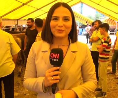 Kurbanlıklarda fiyatlar ne durumda