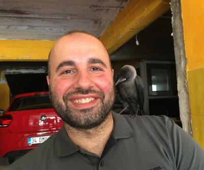 Kediden kurtardığı karga dostu oldu
