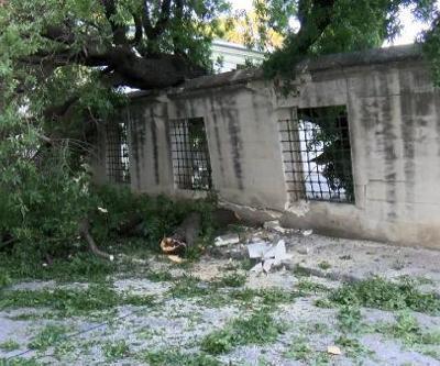 Üsküdarda ağaç devrildi; otomobil hasar gördü