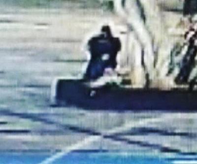 Simge ağacı kim zehirledi Görüntüler ele verdi