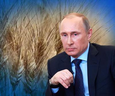 Putinden tahıl açıklaması: Şart koştu, rakam verdi
