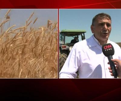 Arpa ve buğday hasadı başladı: Tahıl koridoru anlaşması fiyatları etkileyecek mi