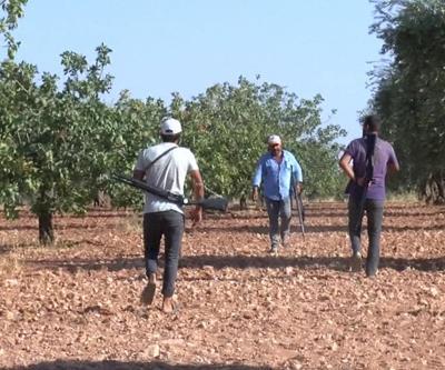 Yeşil Altın için silahlı nöbet