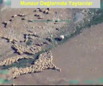 İHA kamerasına koyun sürüleri takıldı