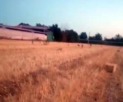 Sokak köpeklerinin saldırısıyla dehşeti yaşadı 8 yaşındaki çocuk yoğun bakımda