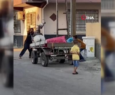 Yürümek istemeyen ata defalarca yumruk attı