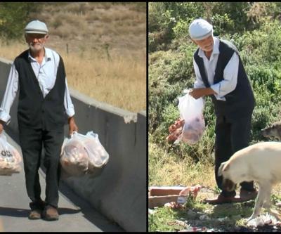 Sokak hayvanları için her gün 15 kilometre yol gidiyor