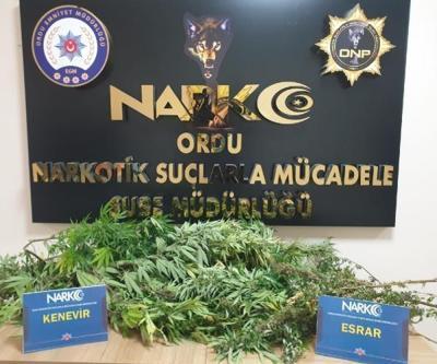 Orduda 1 kilo 400 gram esrar ele geçirildi