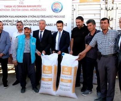 Mutta 60 üreticiye 43 ton tohum