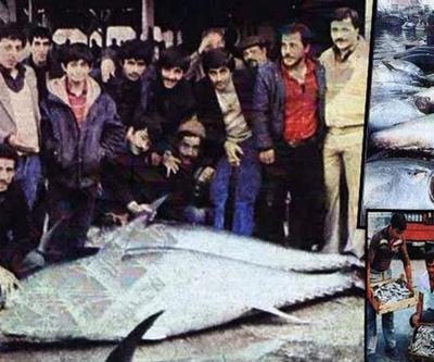 Boğazdaki orkinos ve uskumruyu böyle bitirdik Artık yapılabilecek tek şey var