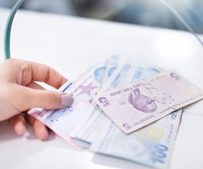 İş kurana, çiftçiye, teknolojiye destek: Hangi destek için nereye başvuru yapılabilir