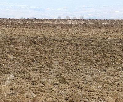 Trakya, 50 yılın en kurak dönemini geçirdi