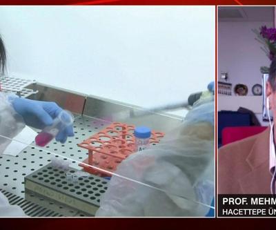 Çocukları öldüren enfeksiyon Strep A nedir Hangi belirtilerle kendini gösterir