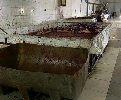 Merdiven altı üretilen 25 ton salça ele geçirildi