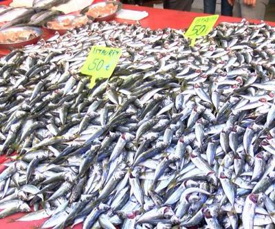 Karadeniz’de istavrit tezgahlara geri döndü
