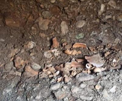 Yol çalışmasında 1600 yıllık oda mezar bulundu