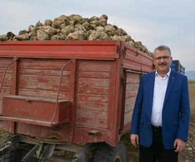 Karacabey TİGEM arazisinde şeker pancarı hamlesi