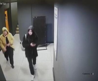 Bu kadarı da pes Onca yolu hırsızlık için gelmişler: 160 kamera incelenerek yakalandılar
