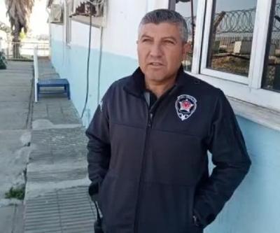 Silifkede yiyecek bulamayan domuzlar ilçe merkezine indi