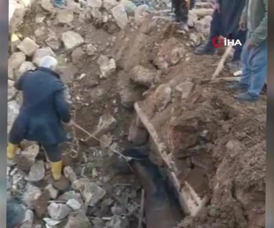 Depremin 21inci gününde enkazdaki atı sağ çıkardılar