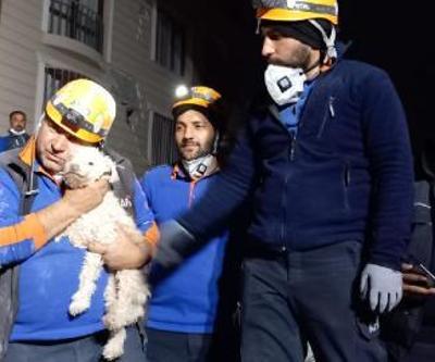 Kabındaki mama ile 25 gün hayatta kaldı Fıstık kurtarıldı...