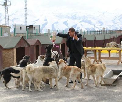 Türkücü Aydın Aydın, kahraman köpekler için klip yaptı