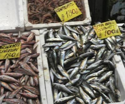 Balık tezgahlarında fiyatlar nasıl