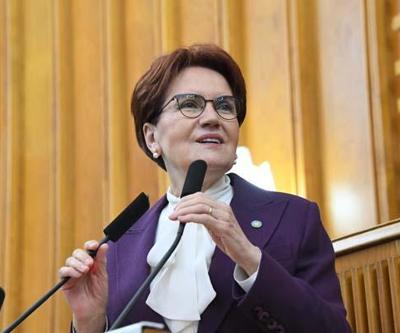 Akşener: Nevruz, katile özgürlük dilenme günü değildir