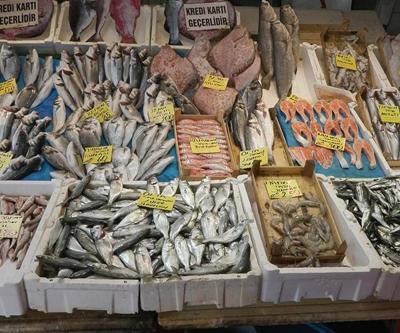 Balık fiyatlarında son durum ne