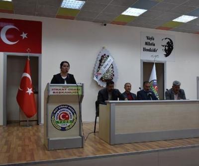 Mutta erik ve kayısı tartışıldı