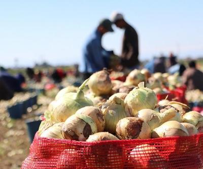 Zam şampiyonu olmuştu: Soğandan iyi haber geldi