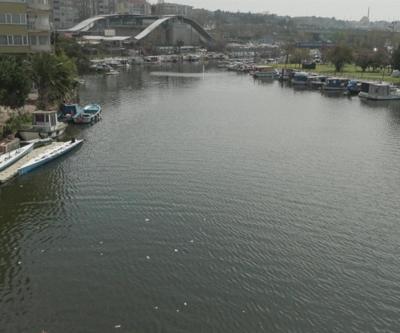 Menekşe Deresi, Marmara için tehdit mi