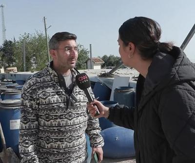 Hatayda zeytin üreticisi zor durumda