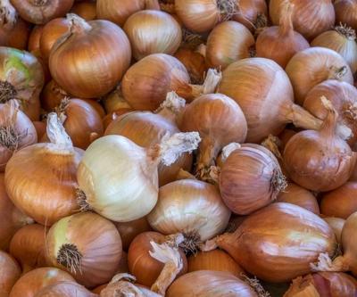 SON DAKİKA: Tarım ve Orman Bakanlığından kuru soğan açıklaması