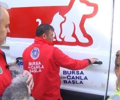 Haybulans ile 15 günde 164 can dosta müdahale edildi