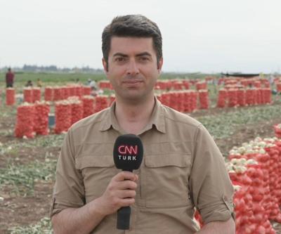 Deprem bölgesinde soğan hasadı