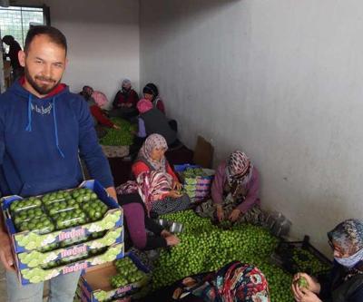 Can eriğinin fiyatı düşmeye başladı