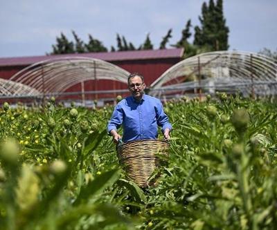 Bakan Kasapoğlu enginar hasadında
