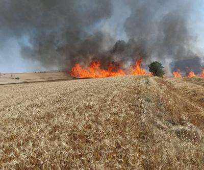 Edirne’de 30 dönüm buğday ekili alan yandı