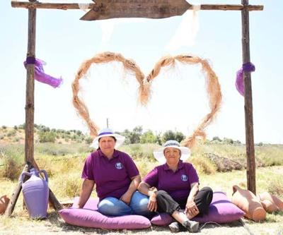 Didim’in mis kokulu Lavanta Festivali’ne sayılı günler kaldı