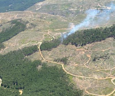 Muğla, Kavaklıderede orman yangını